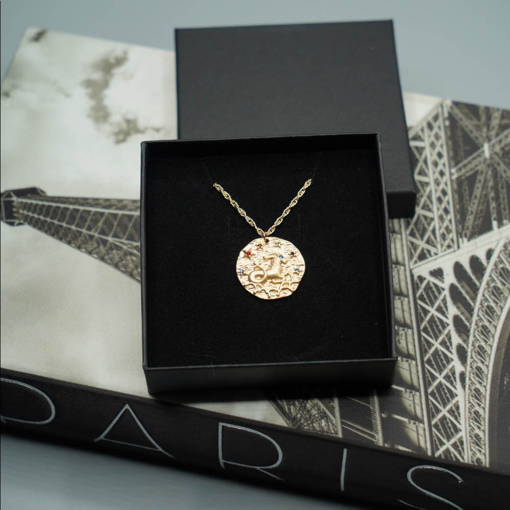 Zodiac CAPRICORN coin necklace horoscope astrology - Picture 3 of 6